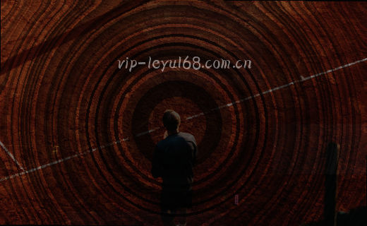 历史数据按年份整齐归档，形成彩色柱状图。